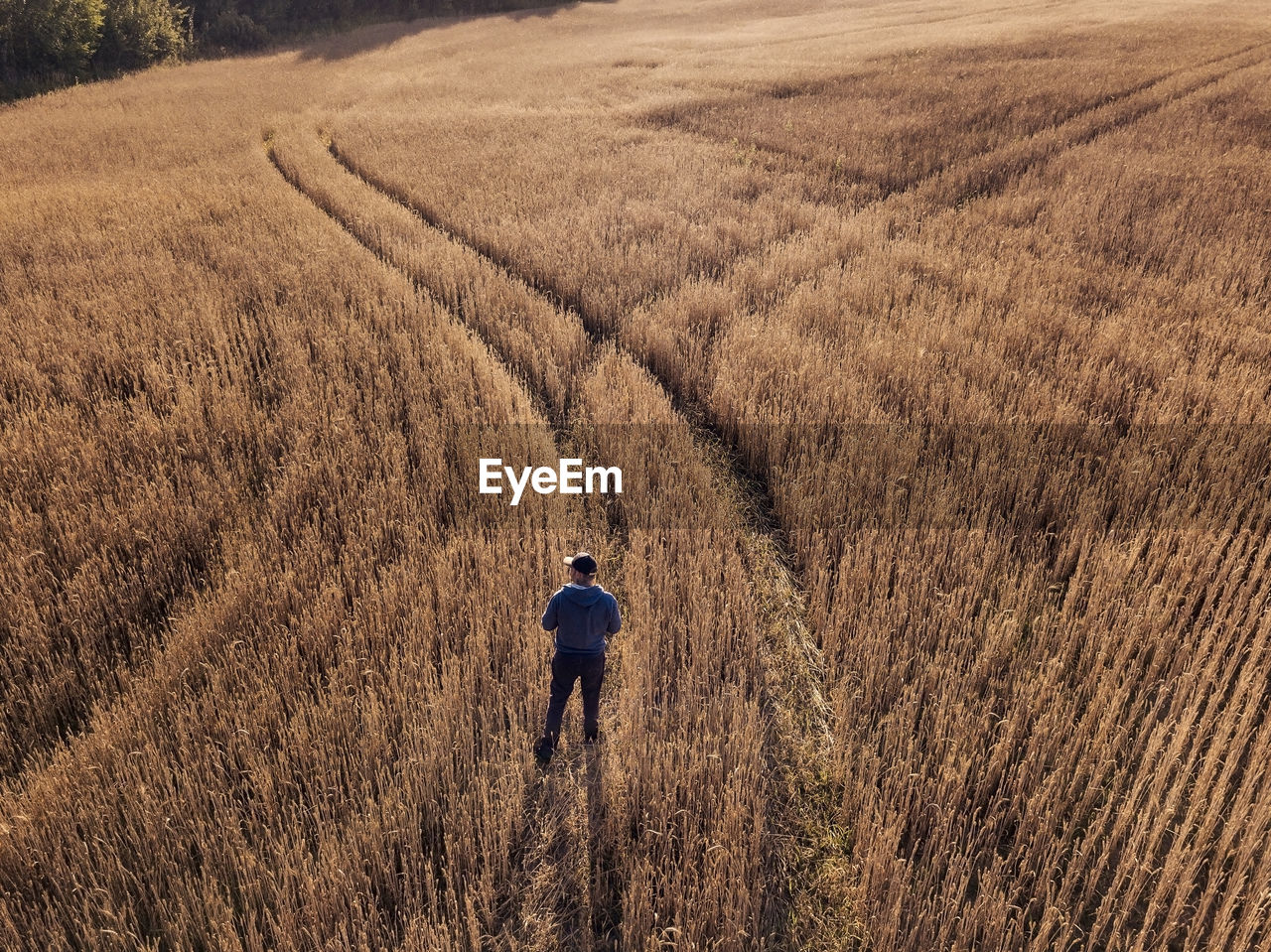 Man standing at rye field during sunset