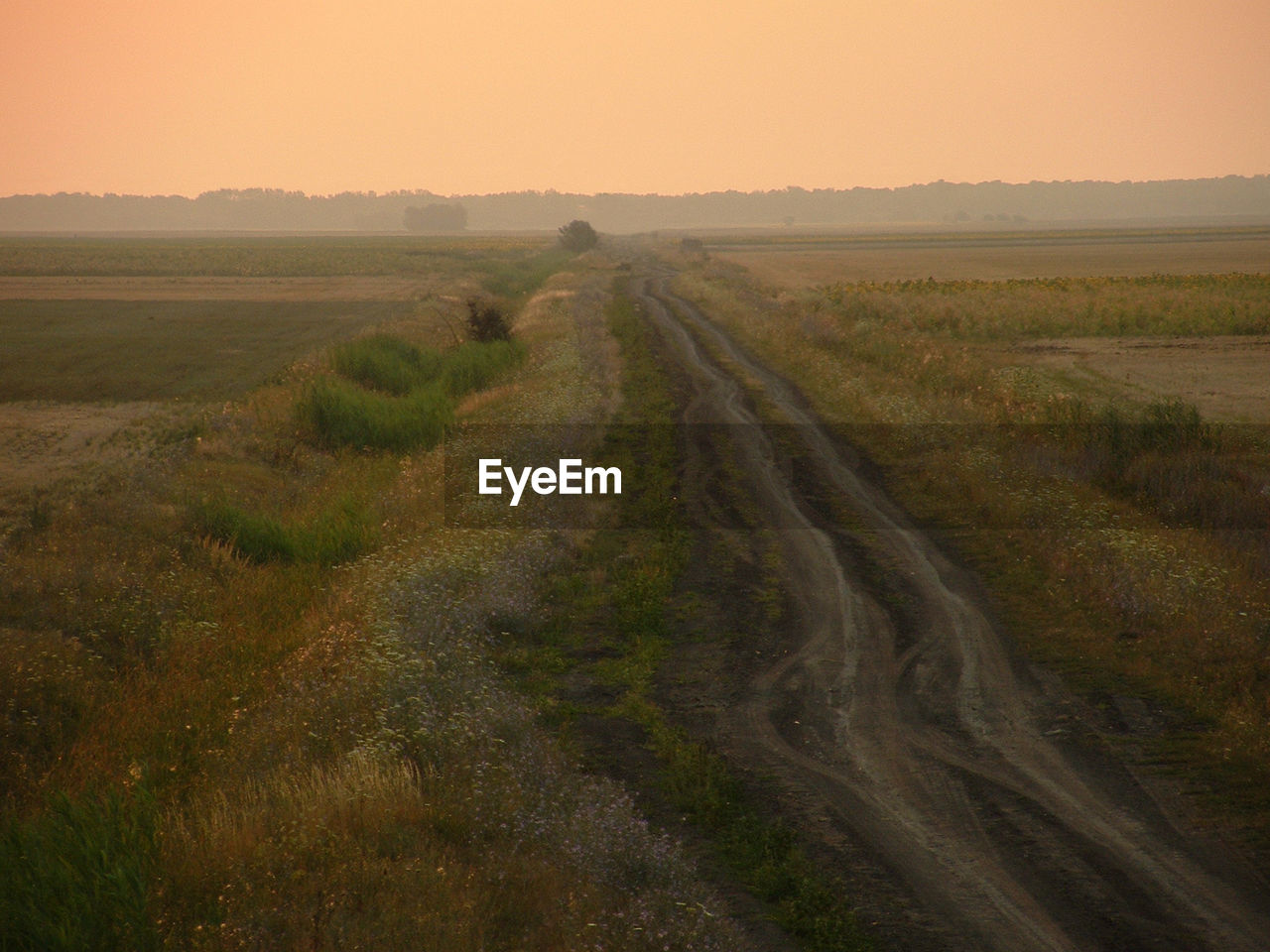 SCENIC VIEW OF RURAL LANDSCAPE