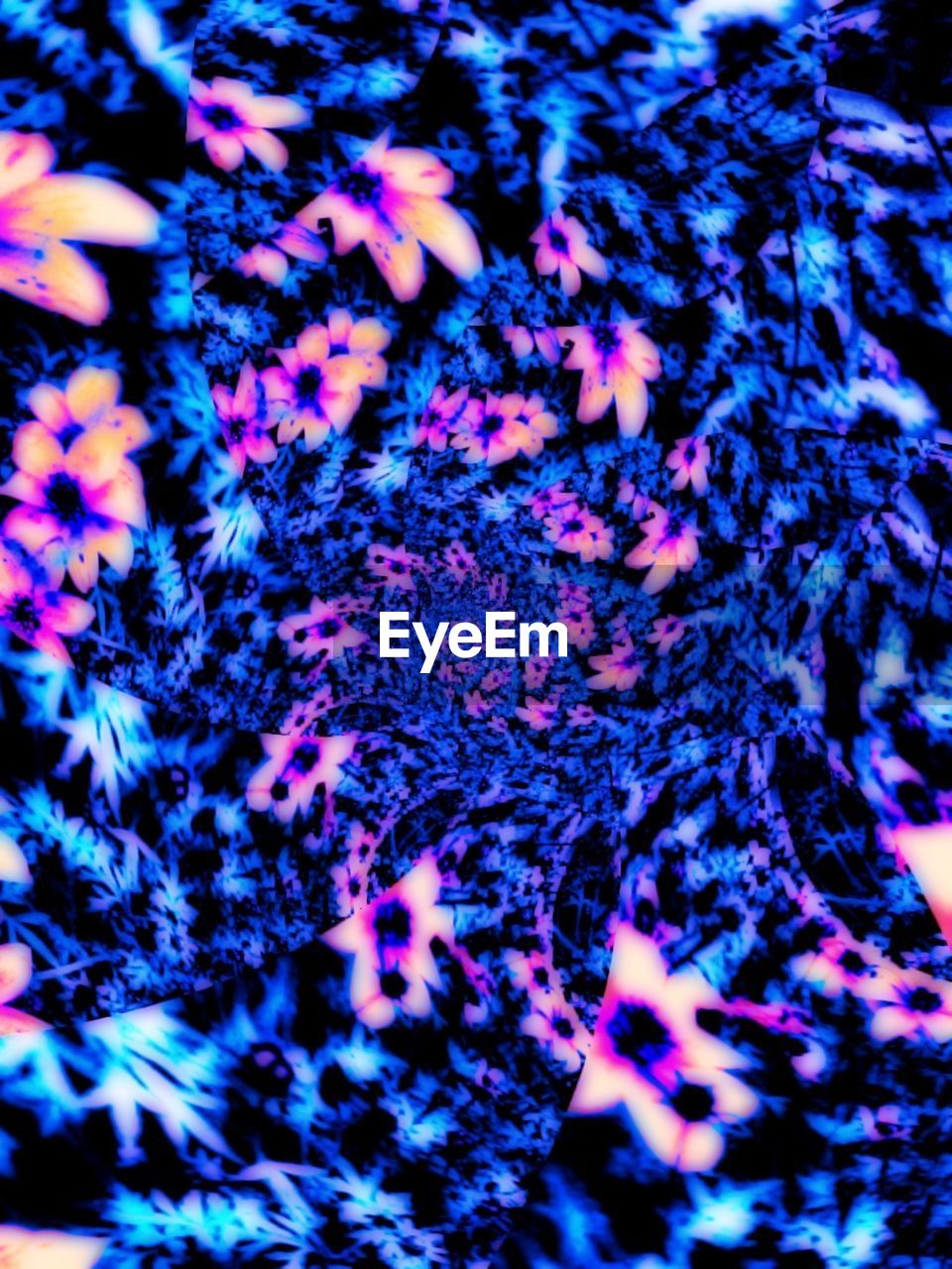 Full frame shot of blue floral pattern backgrounds