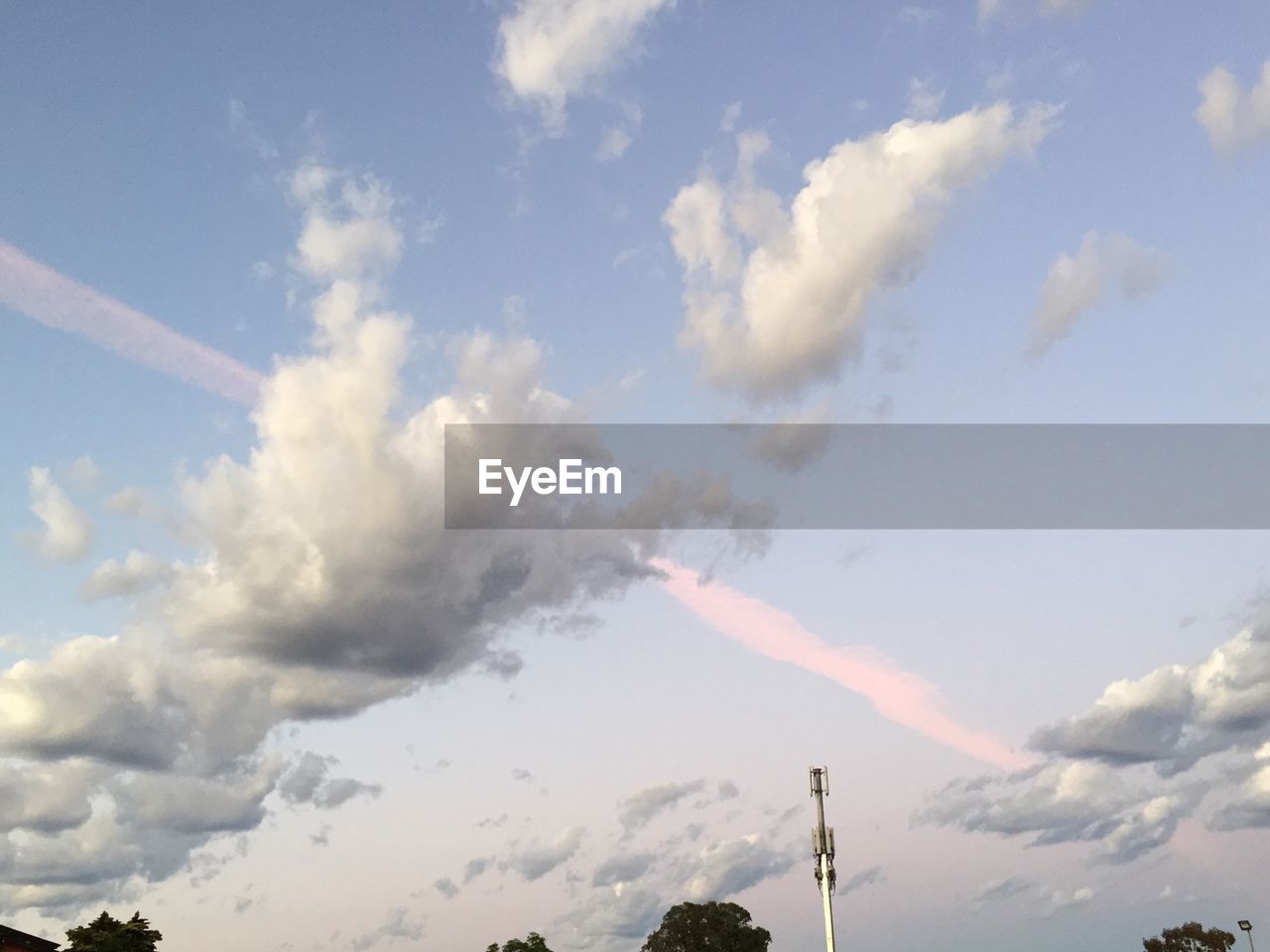 SILHOUETTE OF TREES AGAINST CLOUDY SKY