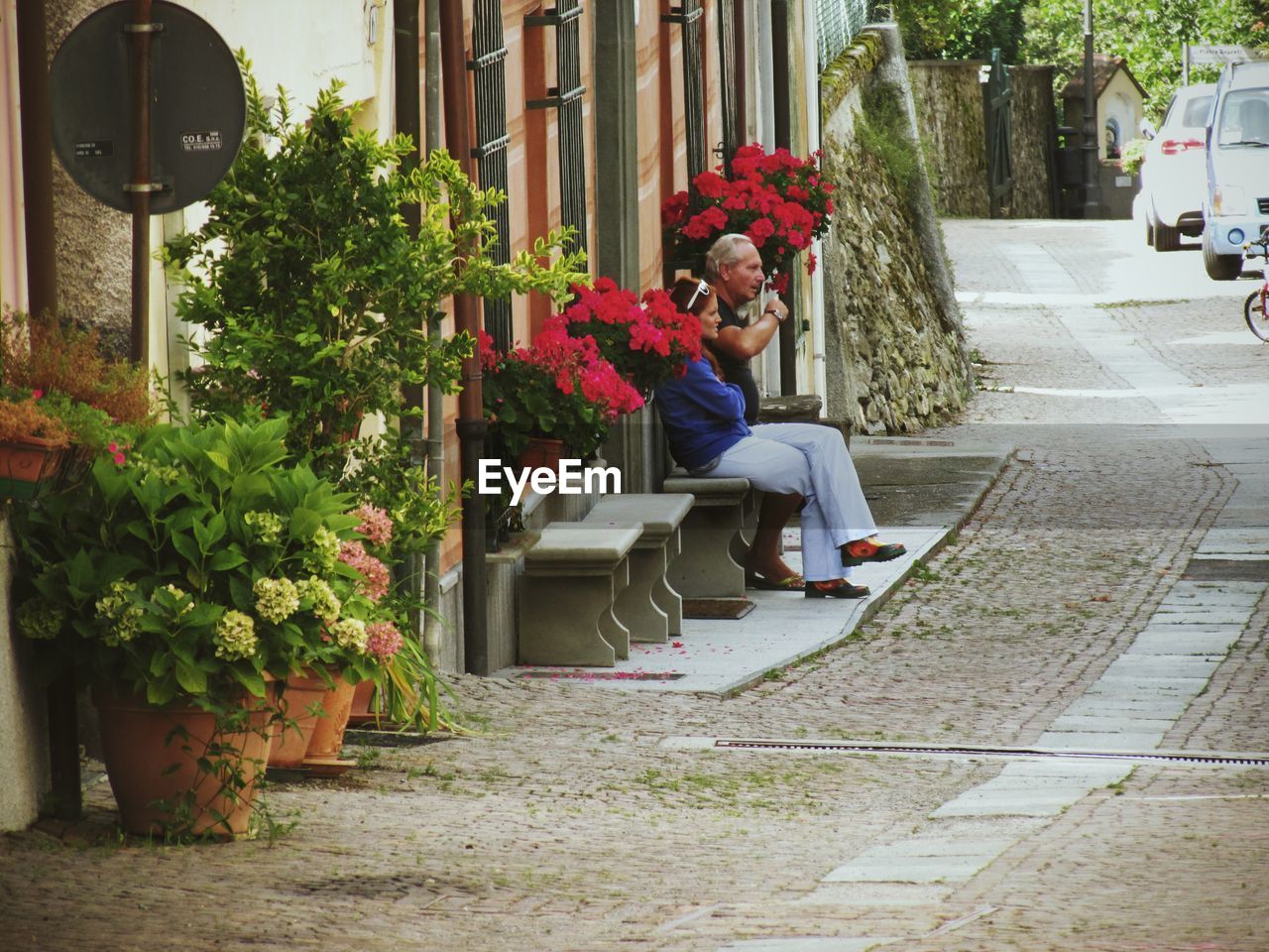 REAR VIEW OF WOMAN SITTING ON TREE