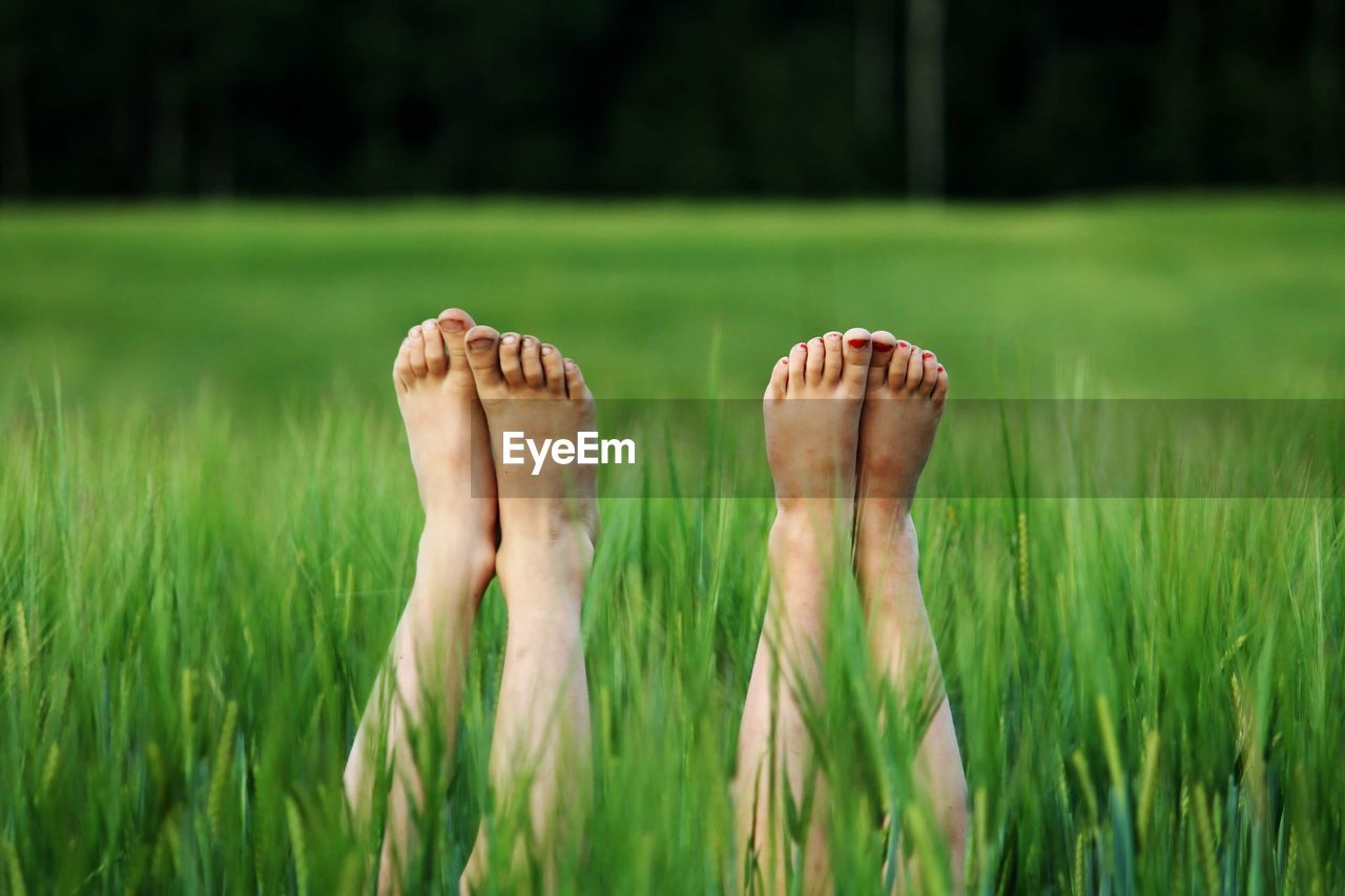 Low section of couple with feet up amidst grass at farm