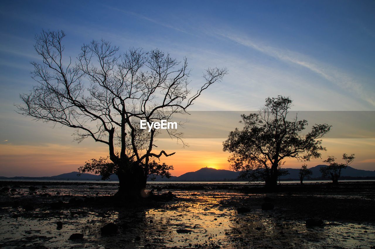 SILHOUETTE BARE TREE ON LANDSCAPE AGAINST SUNSET SKY