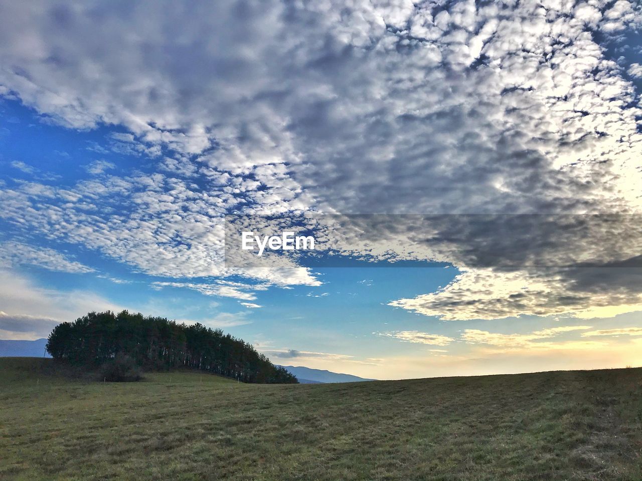 SCENIC VIEW OF FIELD AGAINST CLOUDY SKY