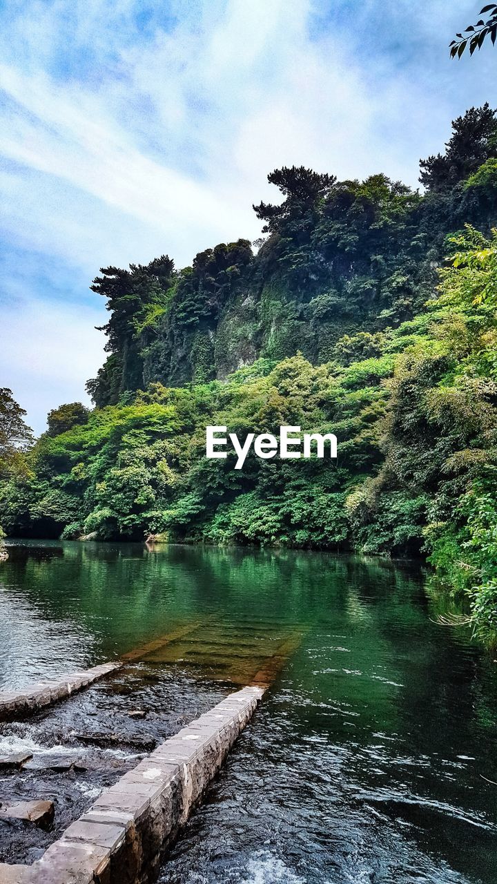 RIVER AMIDST TREES AGAINST SKY