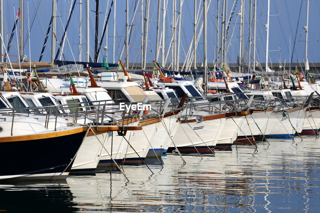 Sailboats moored in harbor