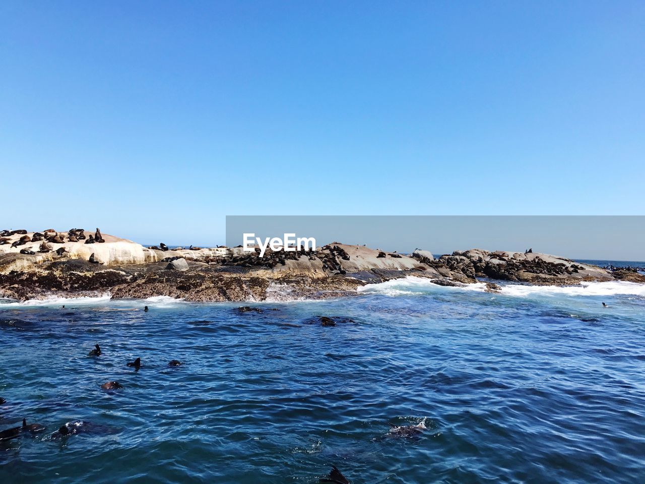 SCENIC VIEW OF BLUE SEA AGAINST CLEAR SKY