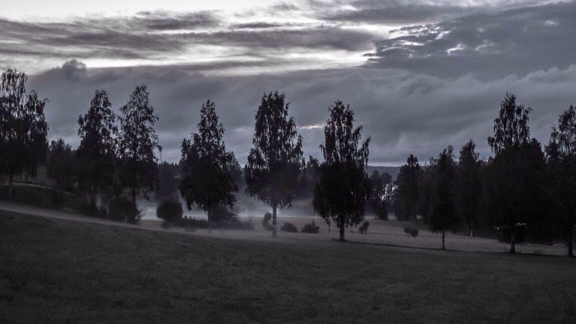 TREES ON LANDSCAPE AGAINST CLOUDY SKY