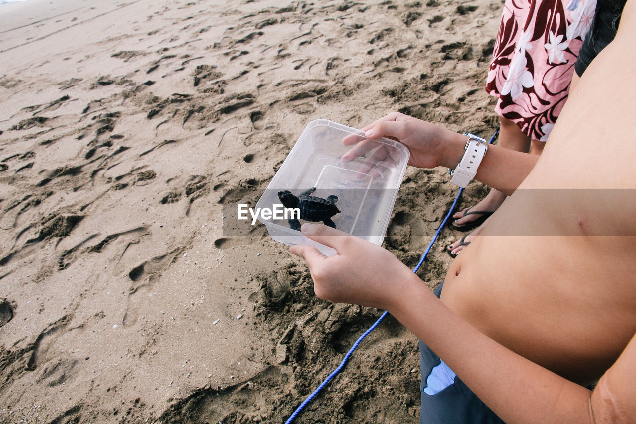 Releasing baby turtles in bali, indonesia