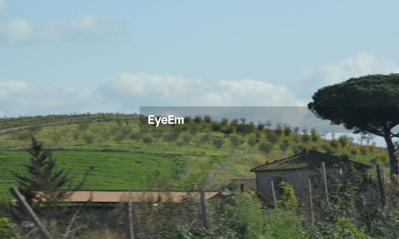 GREEN LANDSCAPE AGAINST SKY