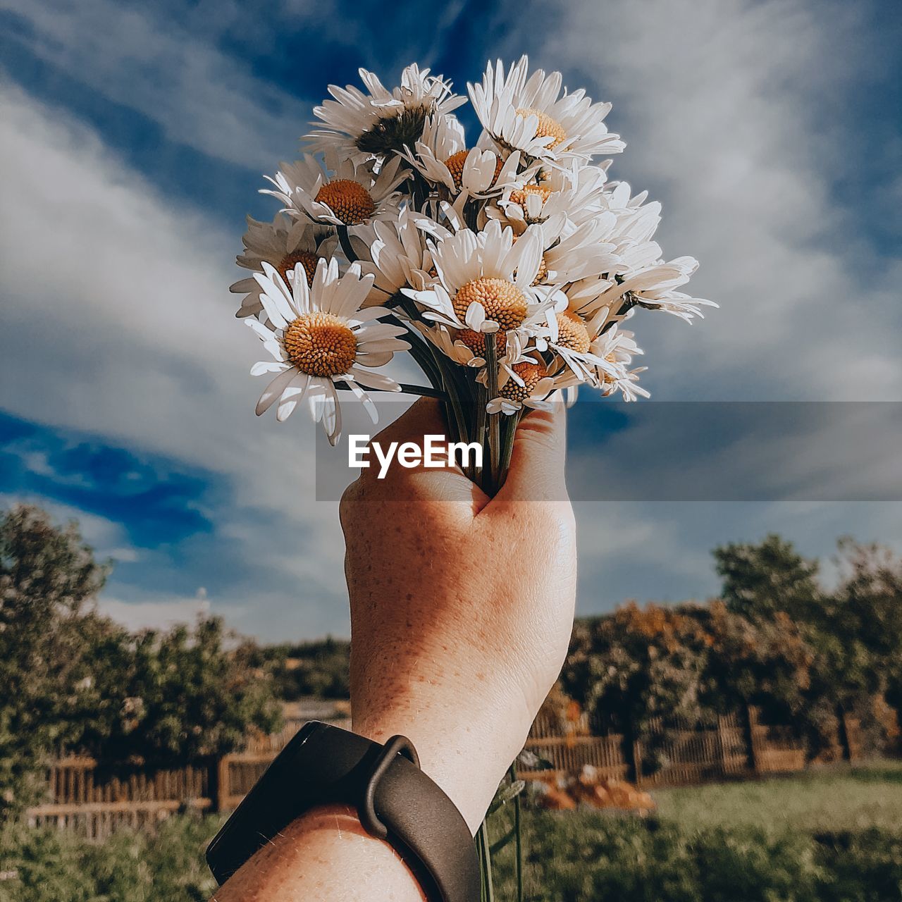 LOW ANGLE VIEW OF PERSON HOLDING FLOWERING PLANT