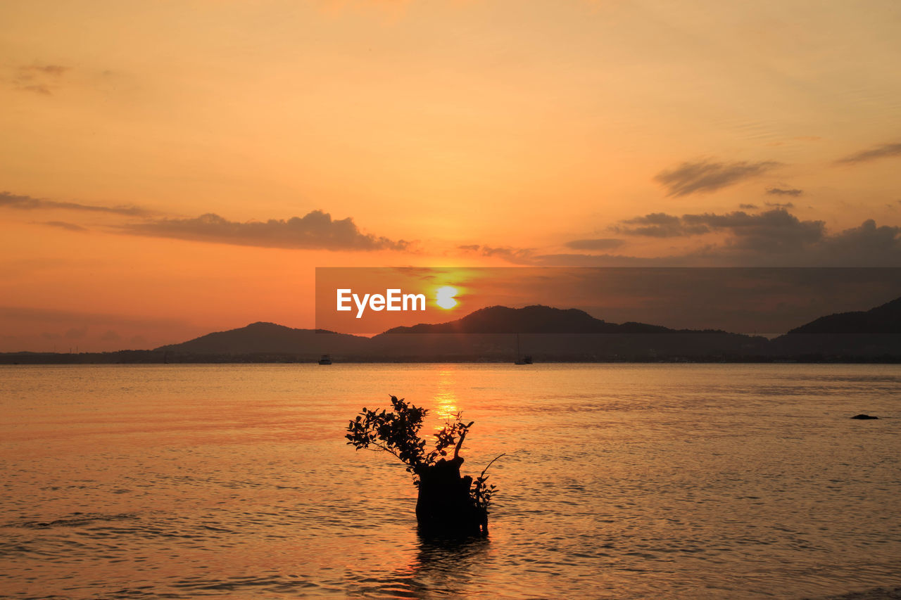 SCENIC VIEW OF SEA DURING SUNSET