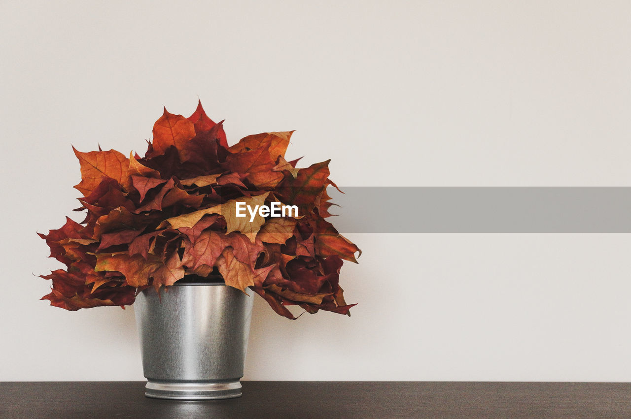 Close-up of autumn leaves on table