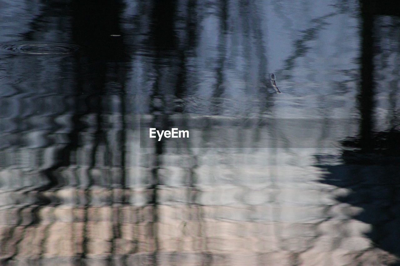 REFLECTION OF TREES IN WATER