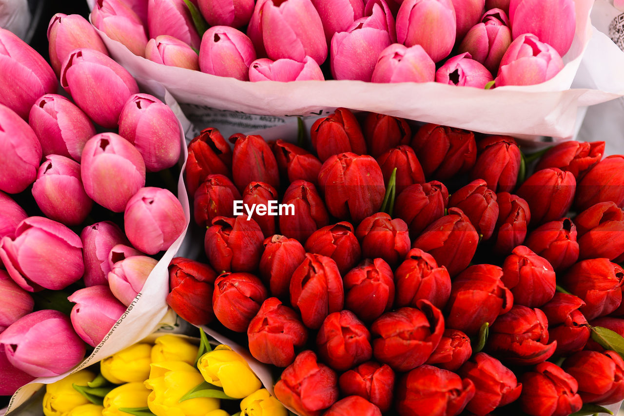 Full frame shot of tulips for sale in market