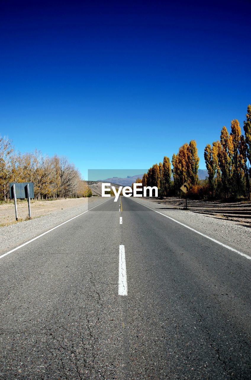 Road amidst trees against clear blue sky