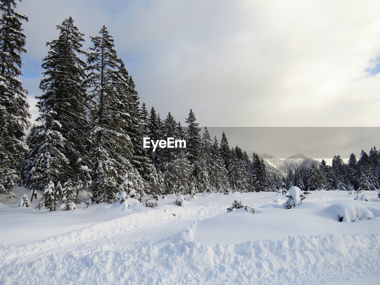 SNOW COVERED FIELD AGAINST SKY