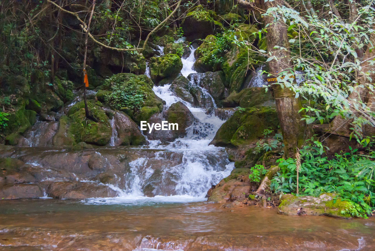 Waterfall in forest