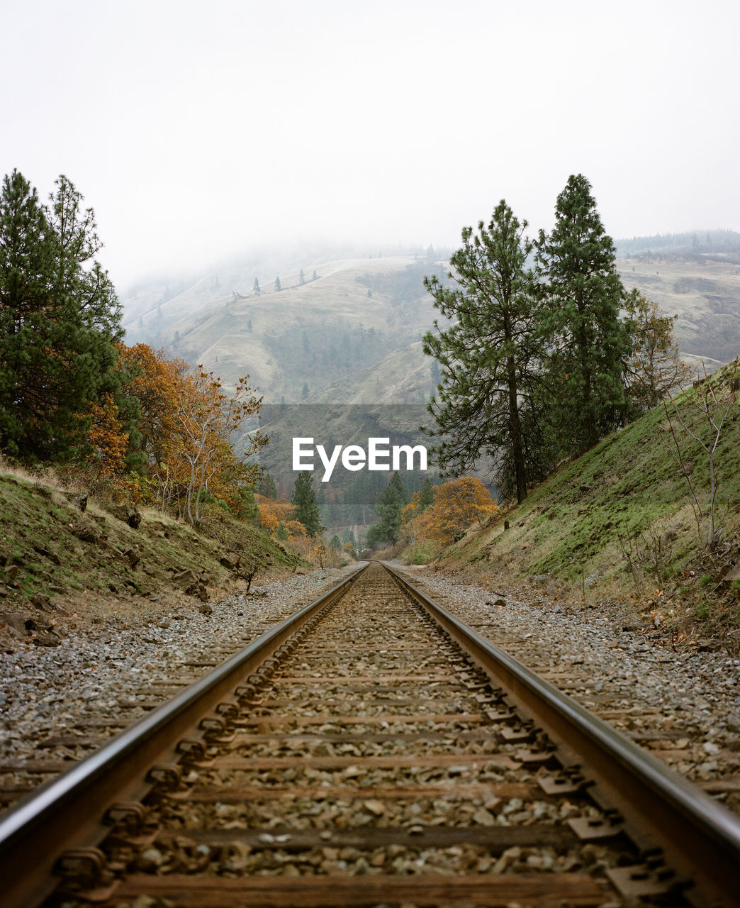 Train tracks disappear into the horizon foggy mountains