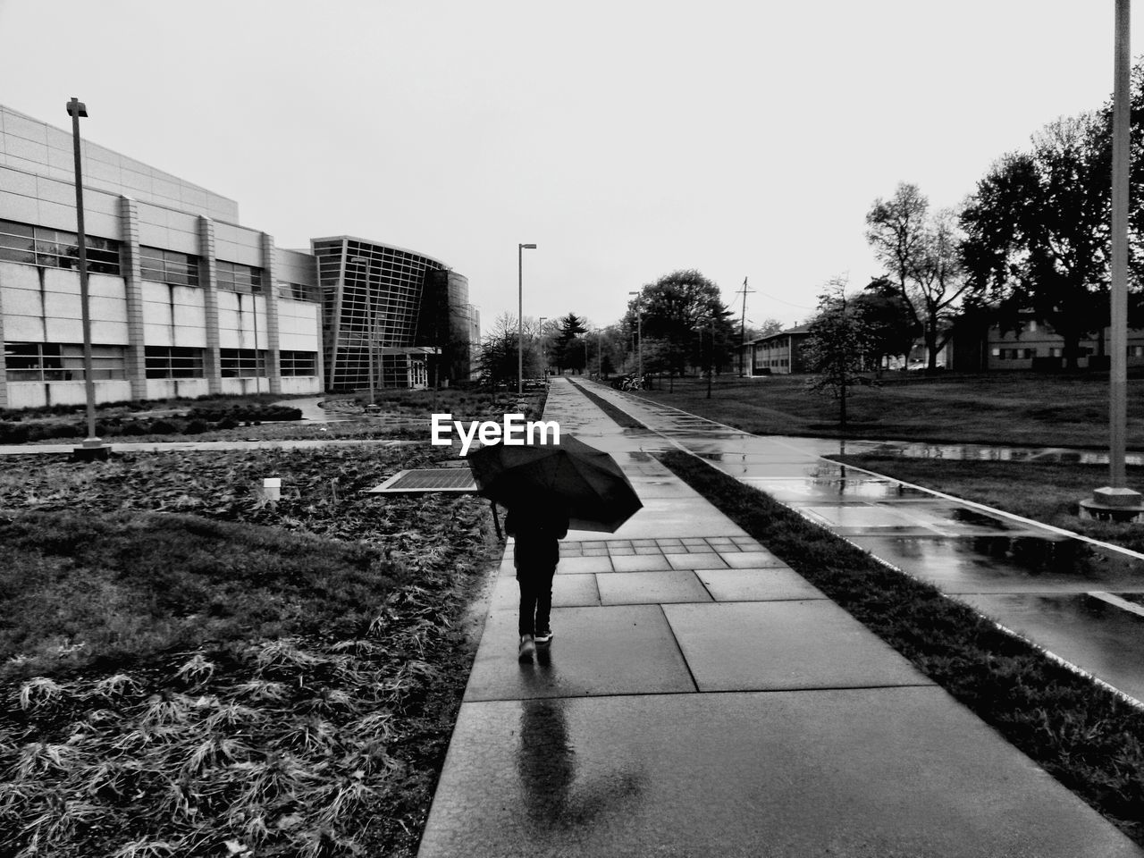 Rear view of man with umbrella walking on street