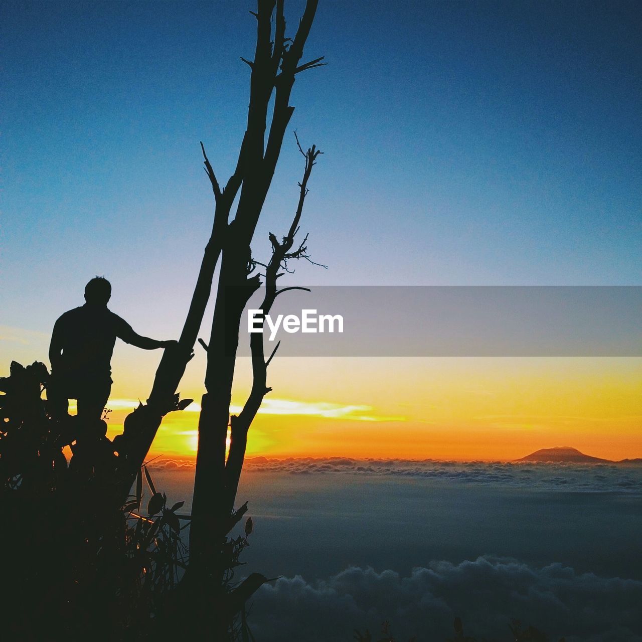 Silhouette person standing by tree against sky during sunset