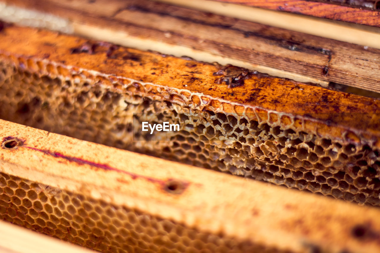 Close-up of wooden beehive