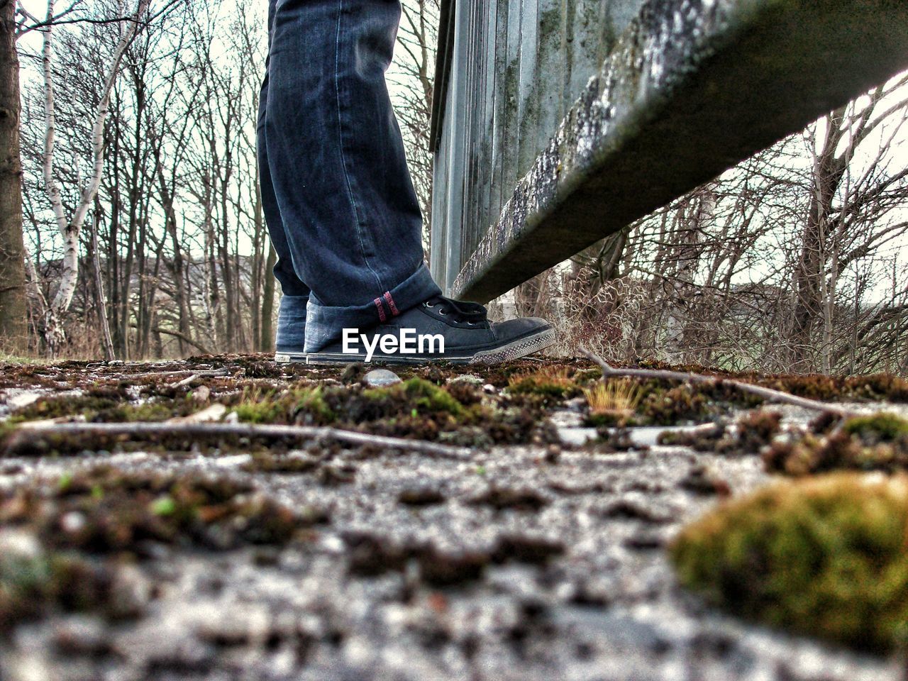 Surface level of man standing on field