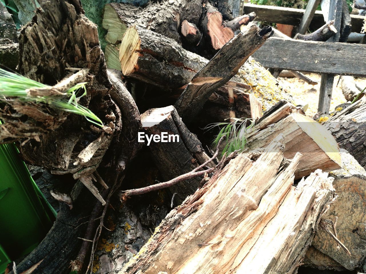 HIGH ANGLE VIEW OF LOGS STACK