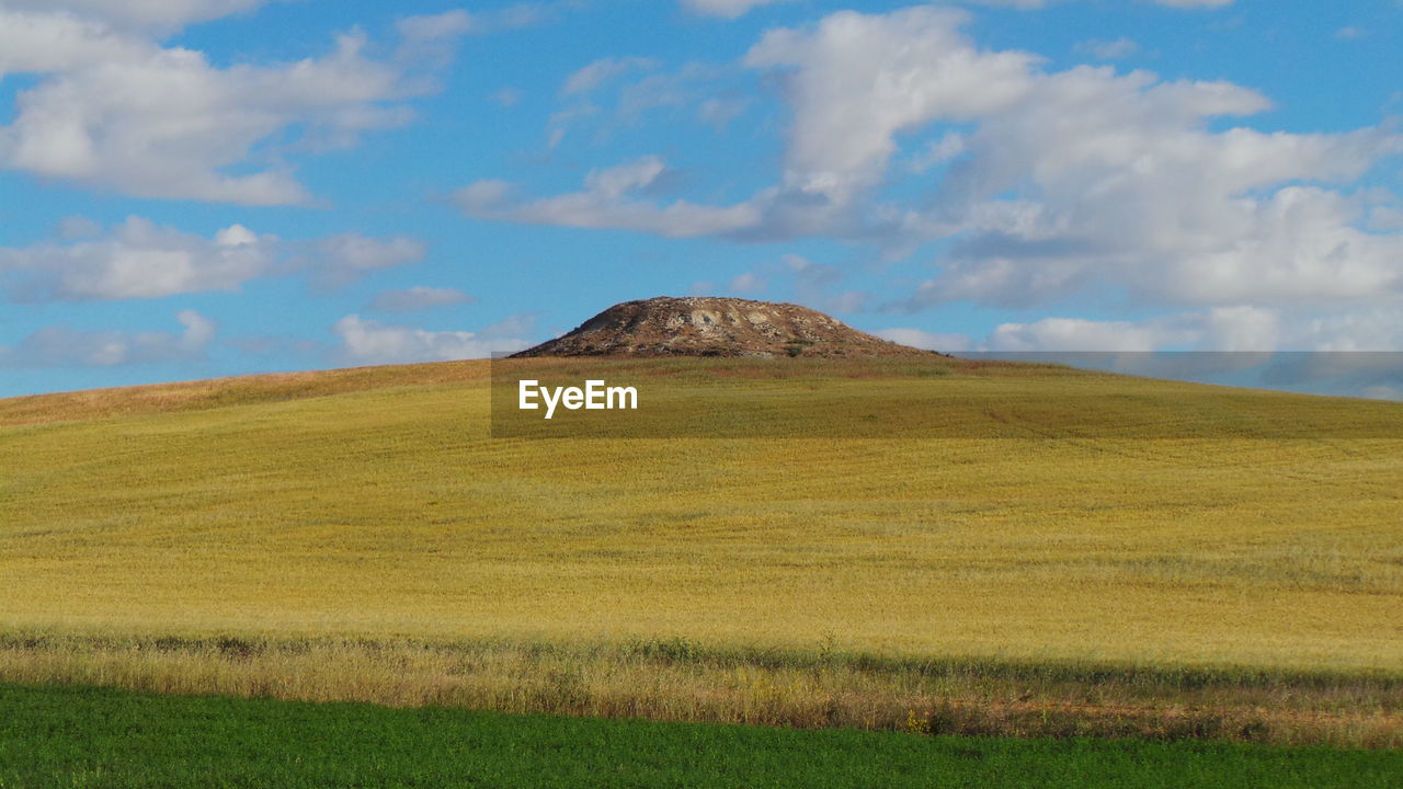 Scenic view of grassy landscape against sky