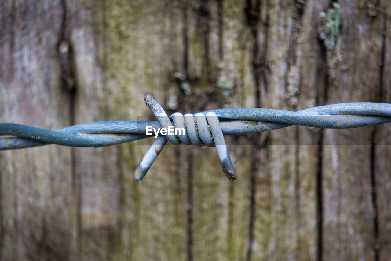 Close-up of barbed wire on fence