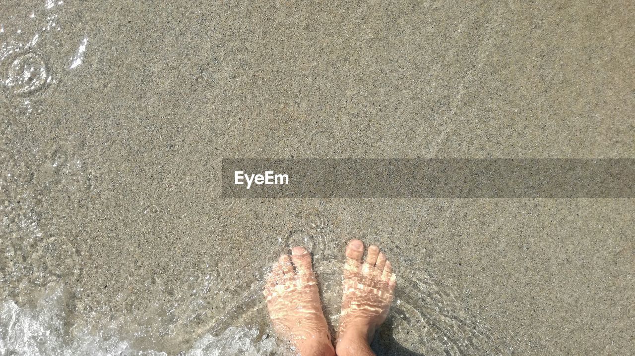 Low section of person standing at beach