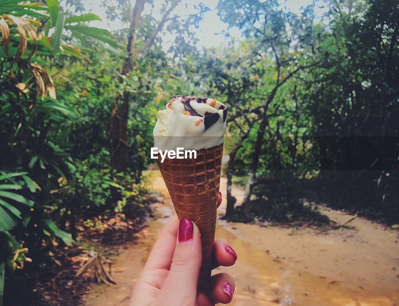 HAND HOLDING ICE CREAM CONE AGAINST TREES AND WOODEN TABLE