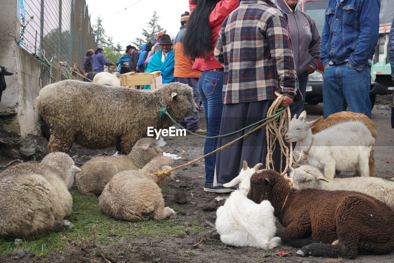 PEOPLE ON HAY BALES