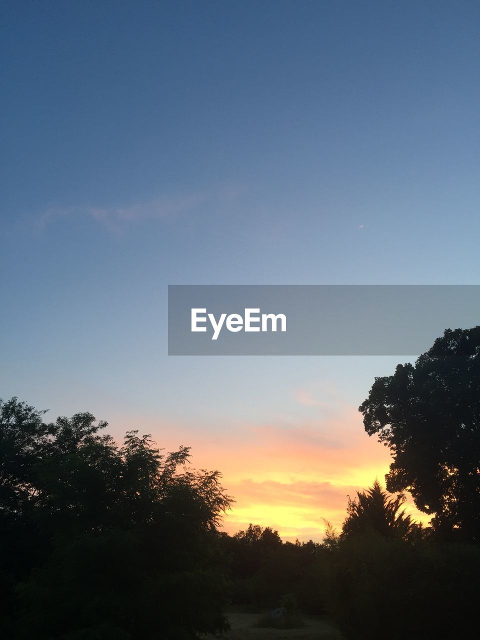 High section of silhouette trees against scenic sky