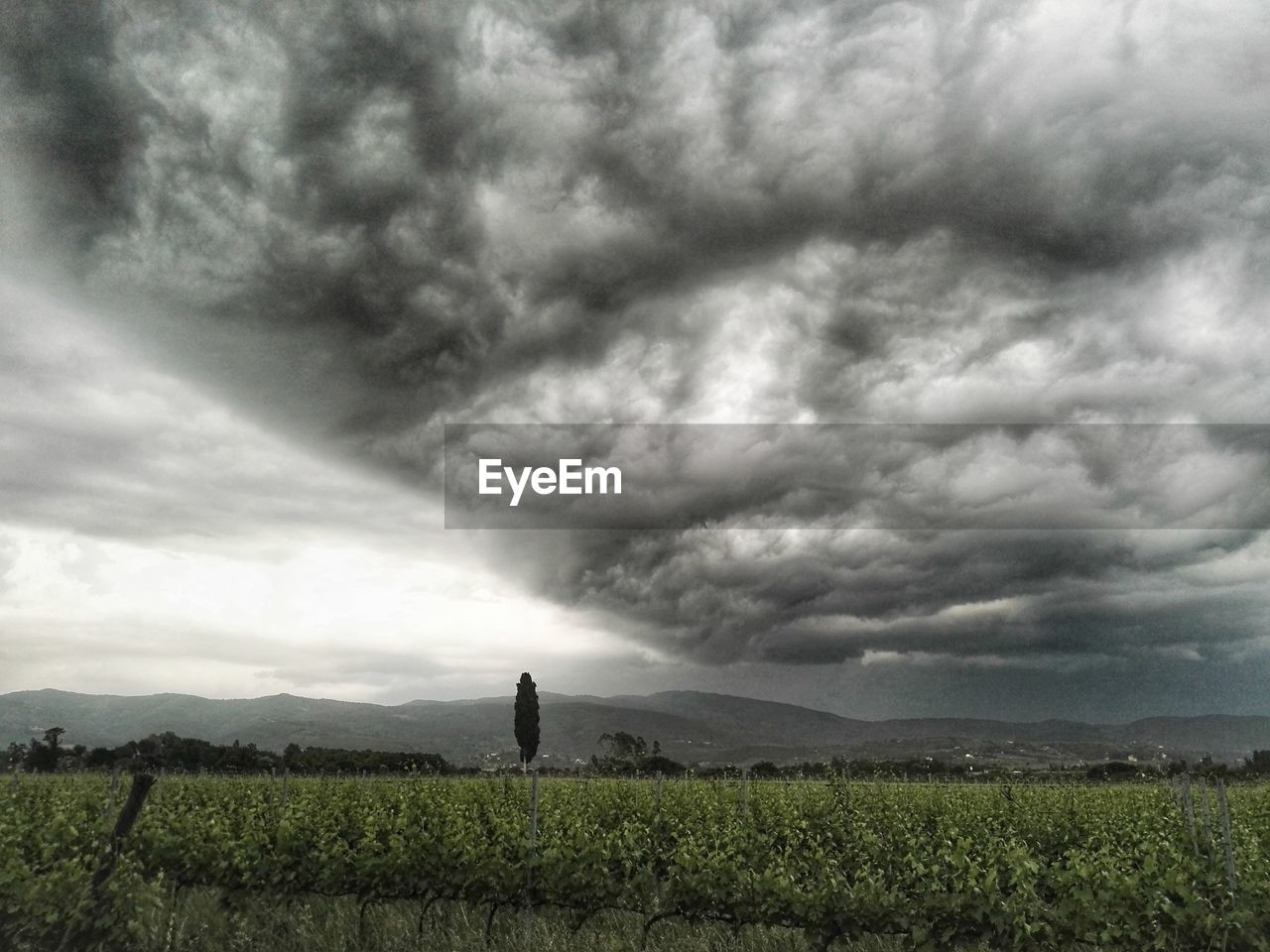 SCENIC VIEW OF FARM AGAINST SKY