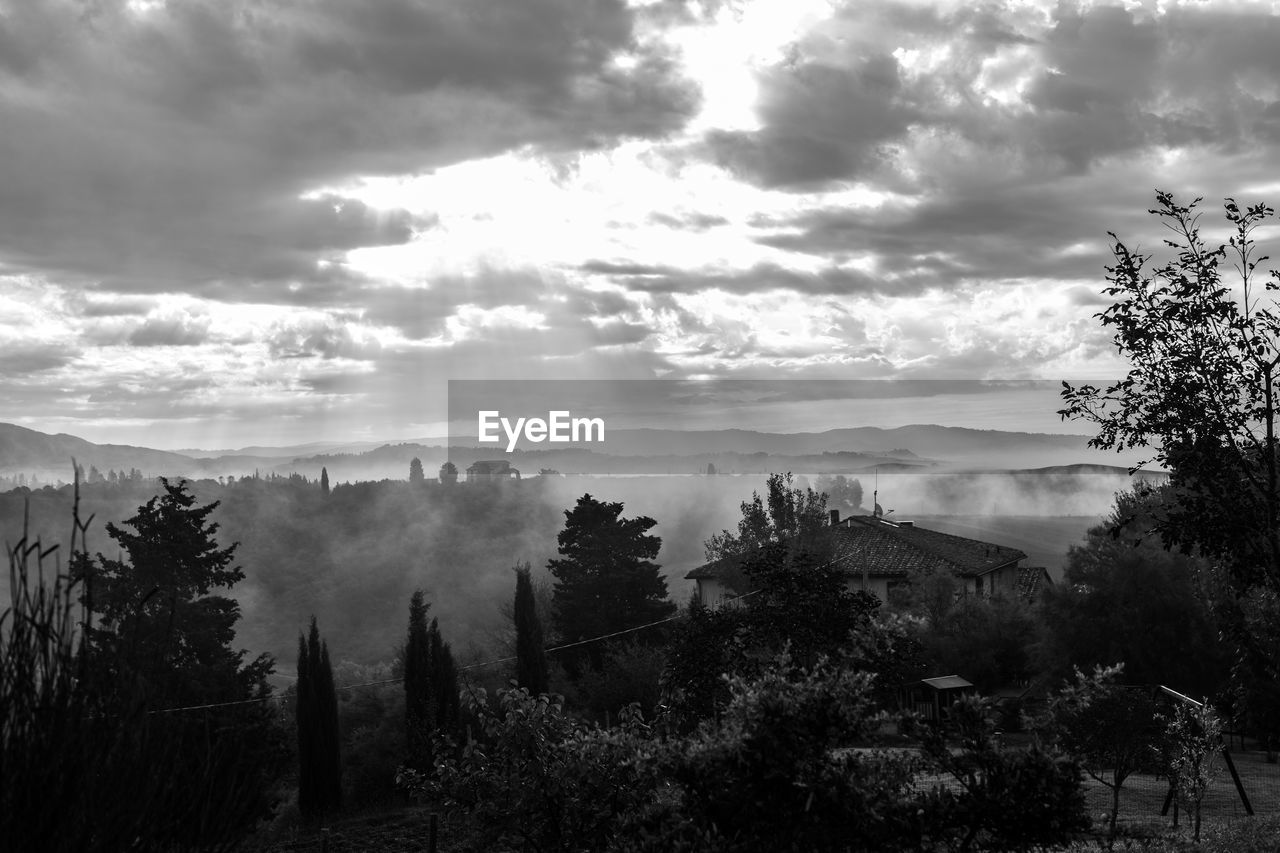 PANORAMIC VIEW OF TREES AND MOUNTAINS AGAINST SKY