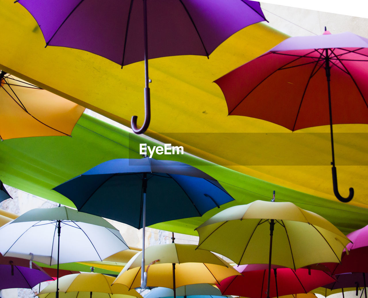 Rainbow umbrella festival hanging midair