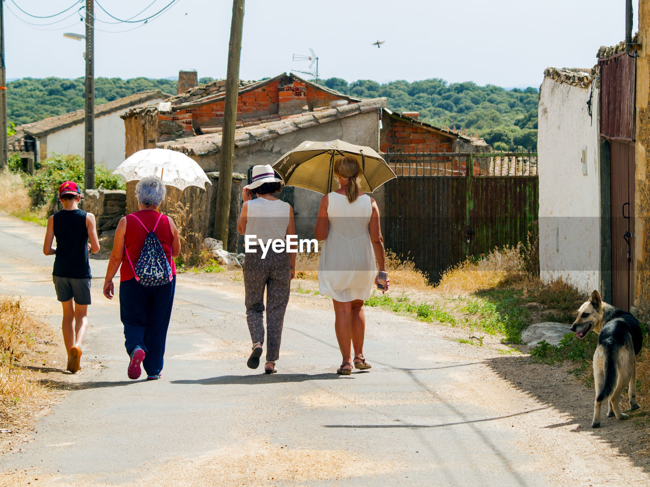 Rear view of people walking on road with umbrellas by buildings during sunny day