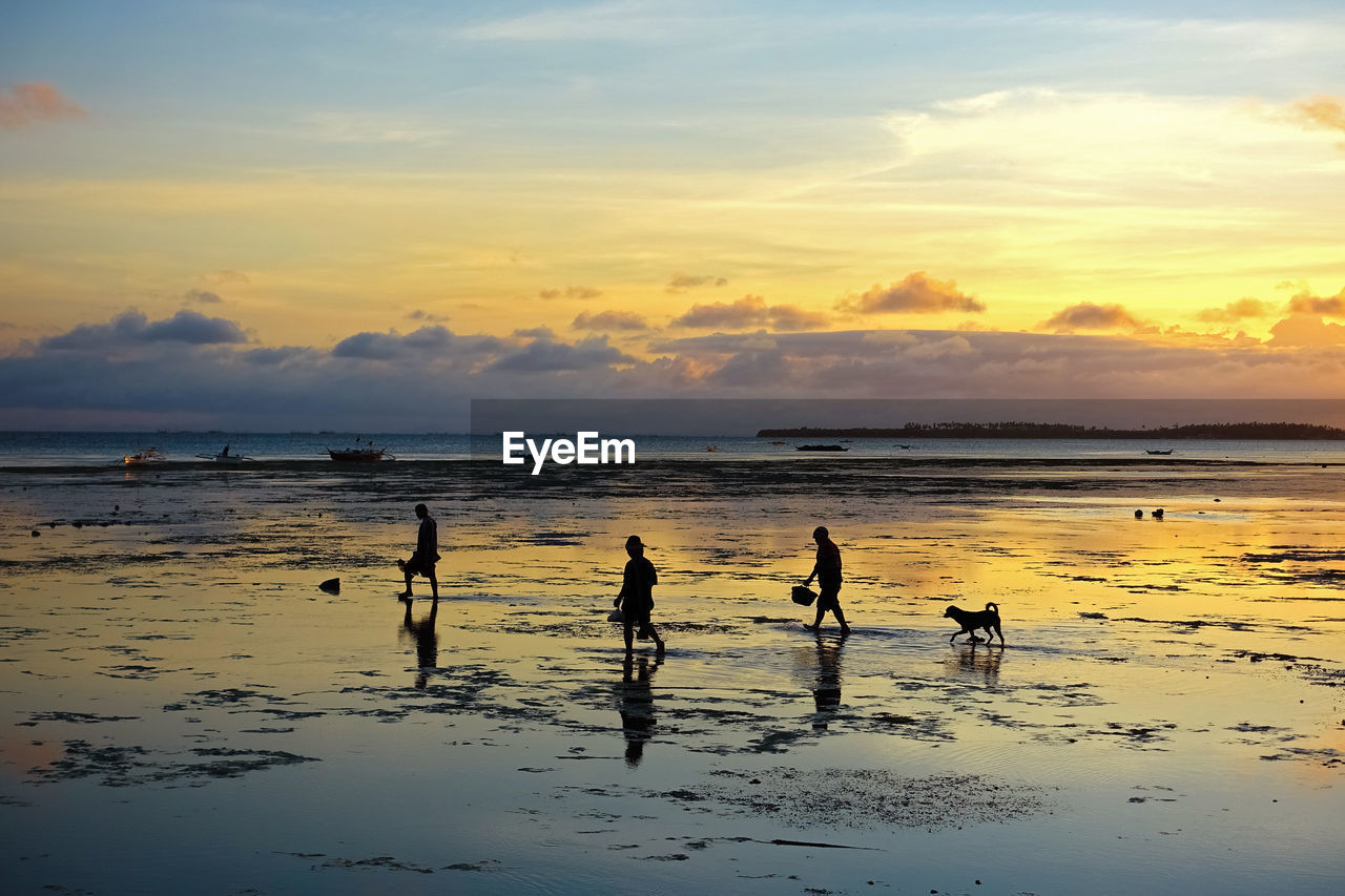 Silhouette people on beach against sky during sunset