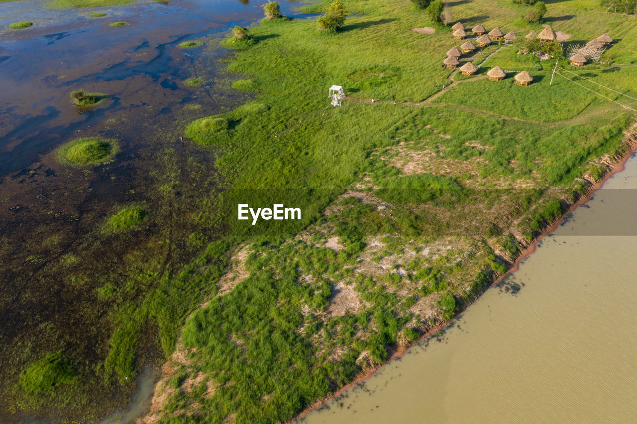 plant, land, environment, water, landscape, grass, scenics - nature, day, no people, nature, aerial view, high angle view, green color, tranquil scene, beauty in nature, growth, outdoors, field, tranquility