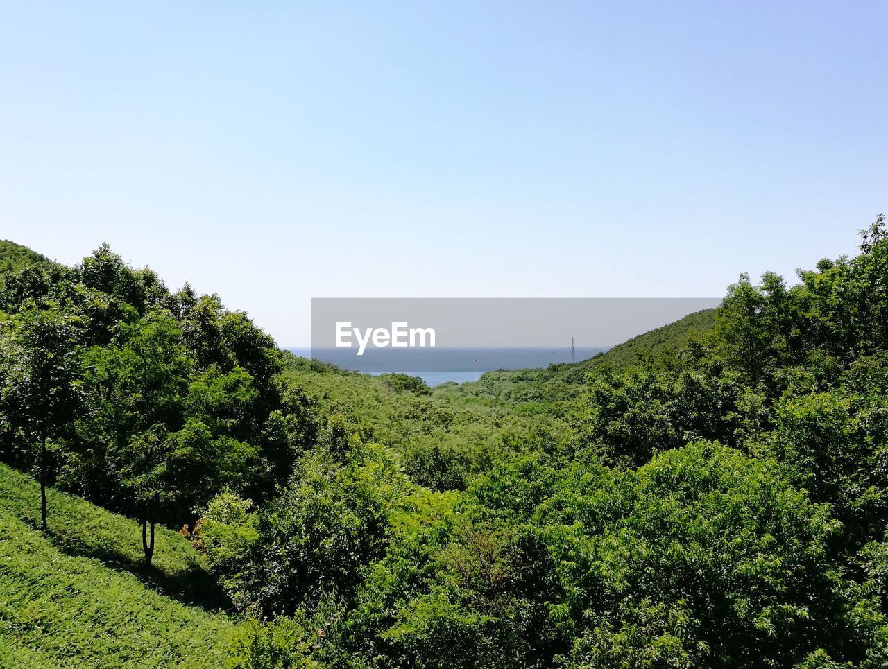 Scenic view of sea against clear sky