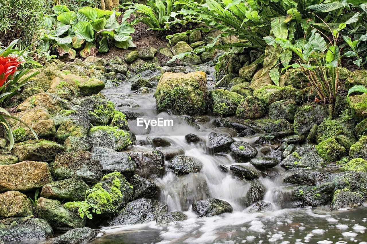 Close-up of stream along stones