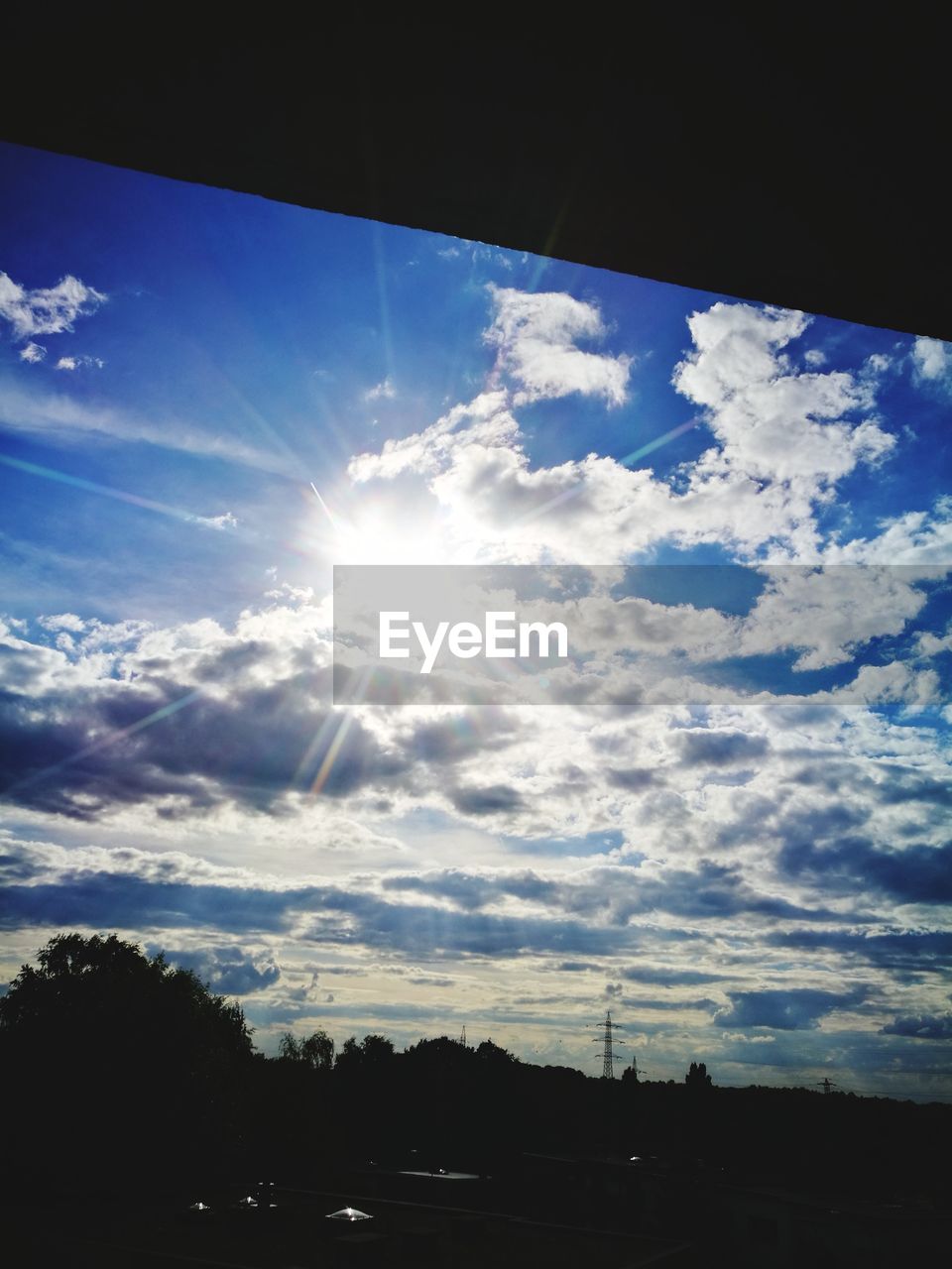 SILHOUETTE OF TREES AGAINST SKY