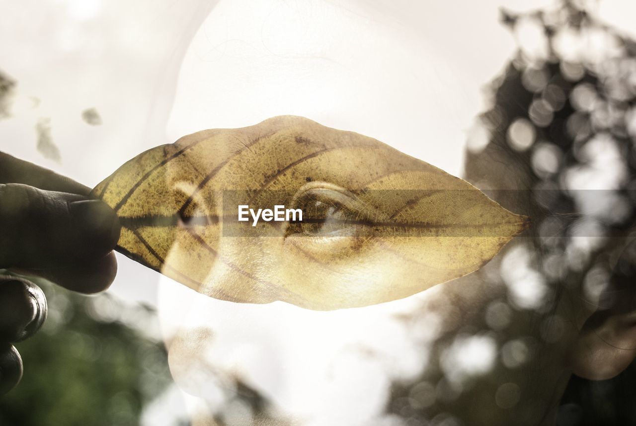 Double exposure image of woman with leaf