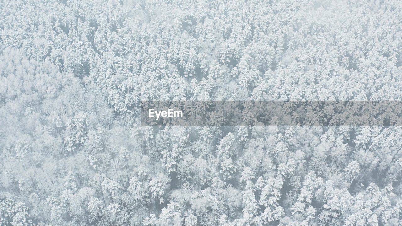 Full frame shot of snow covered landscape