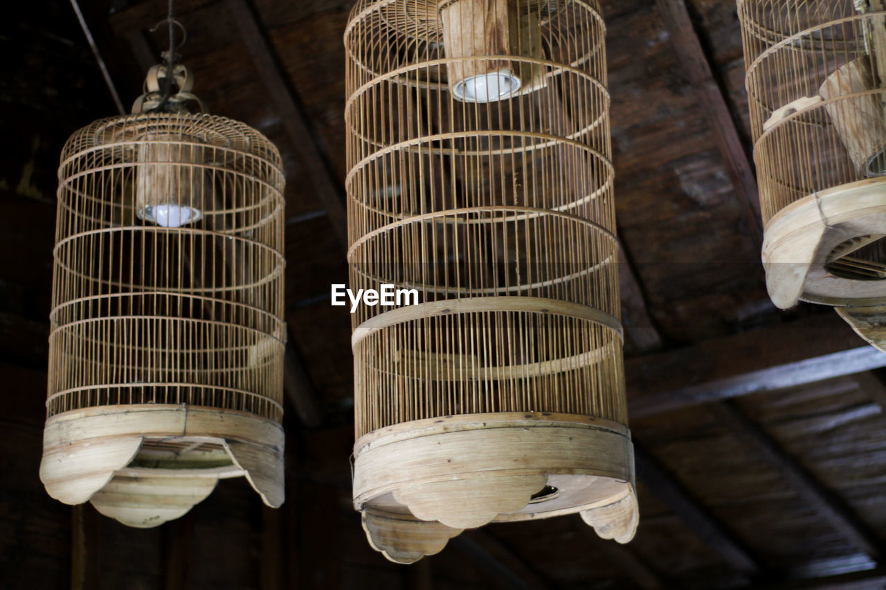 Close-up of an animal in cage