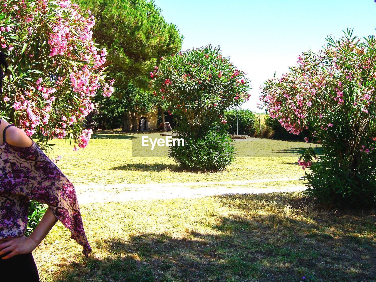 WOMAN IN PARK