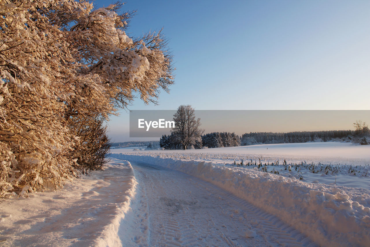 Snow covered field against sky