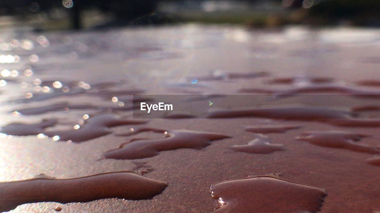 CLOSE-UP OF WATER IN SHALLOW