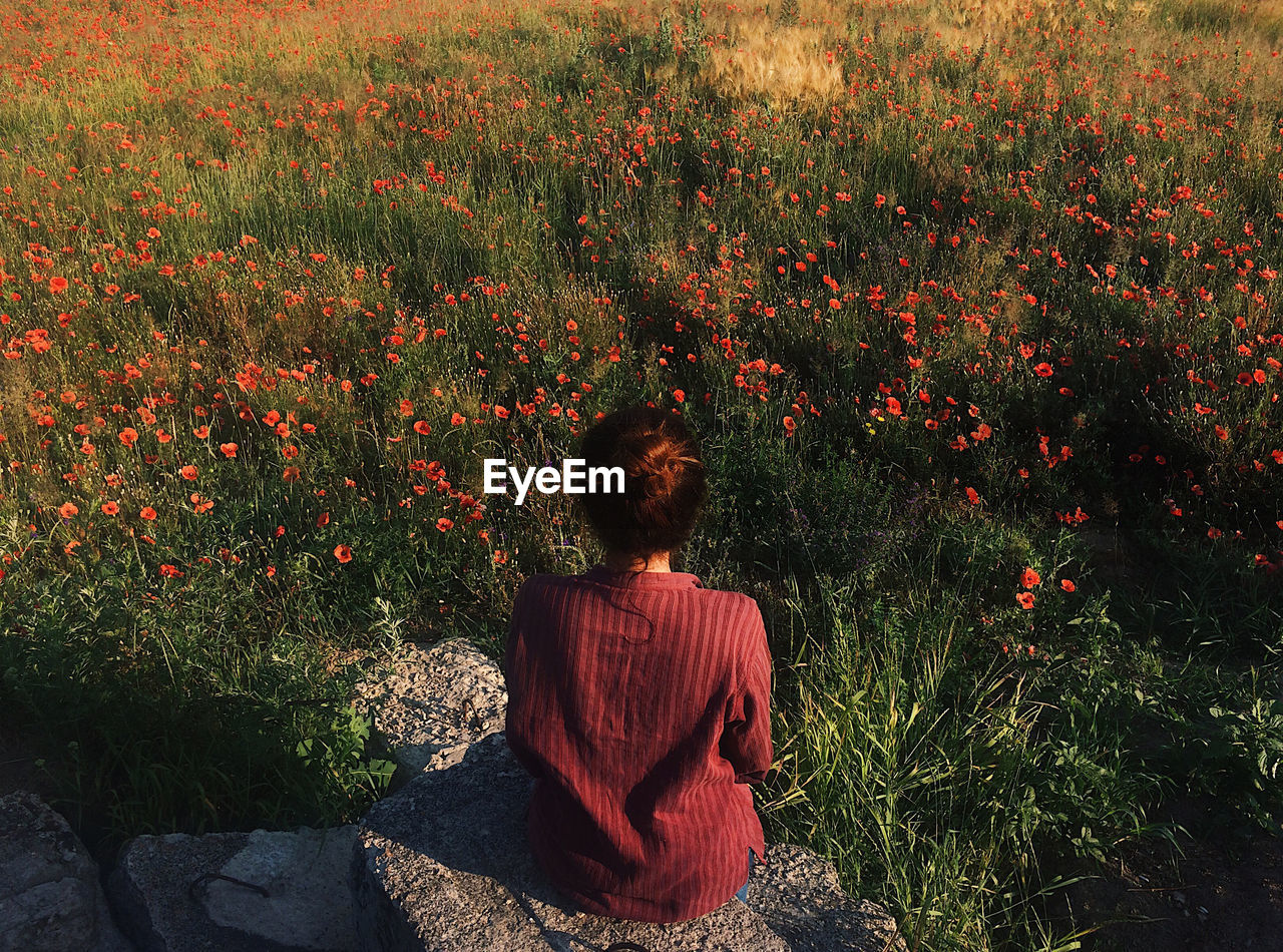 Rear view of woman sitting on field